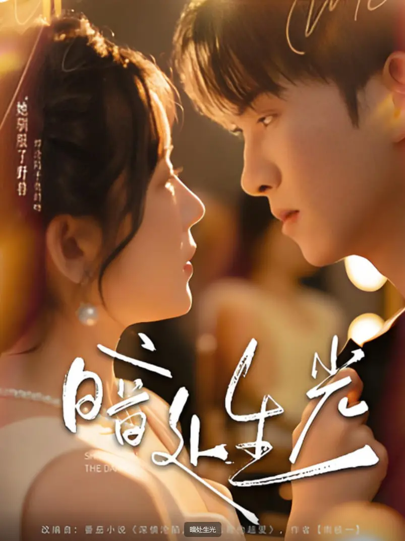 《暗处生光》：黑暗中的人性救赎，一部关于希望与坚韧的催泪之作